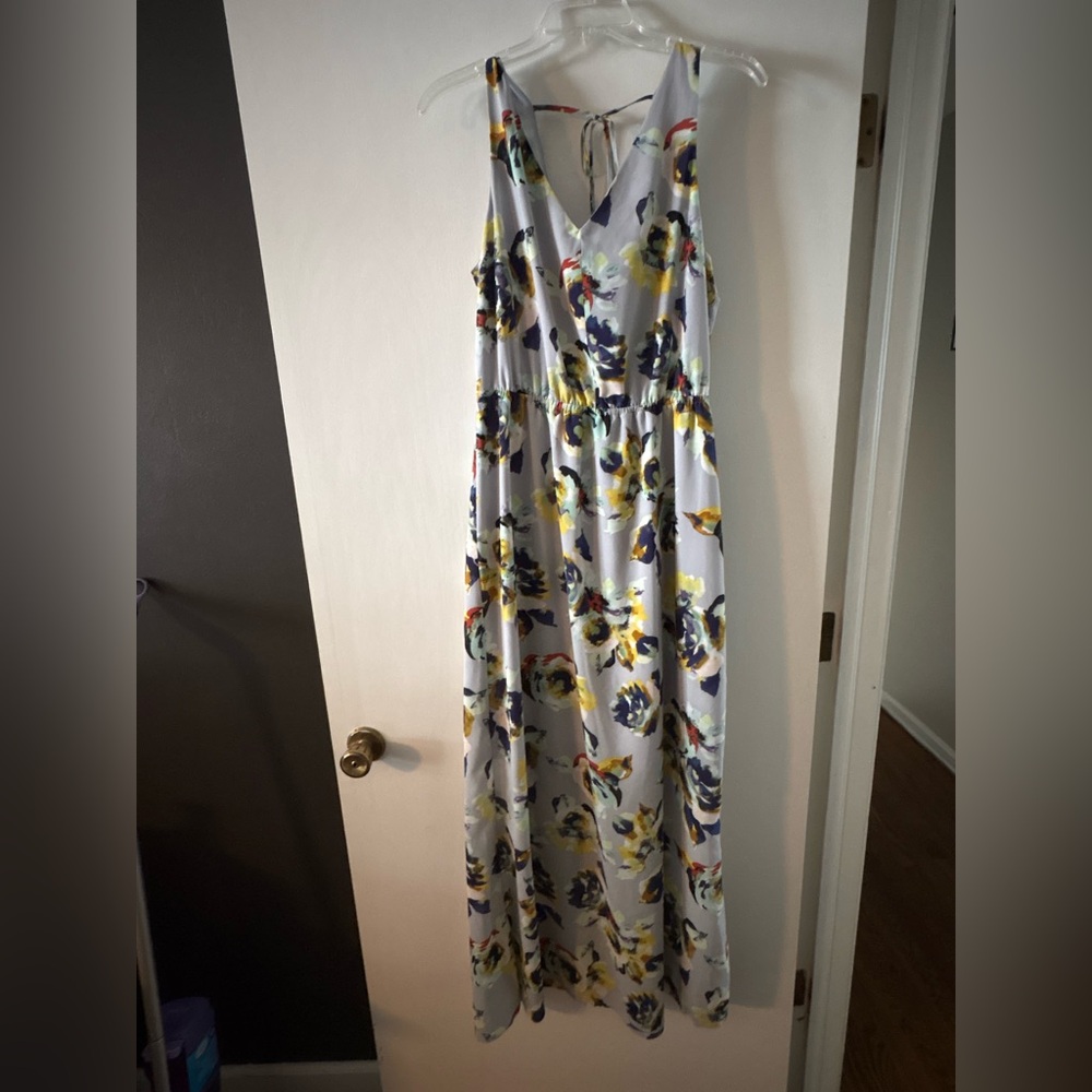 The Limited Multicolor Floral Maxi Dress